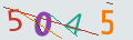 verifycode
